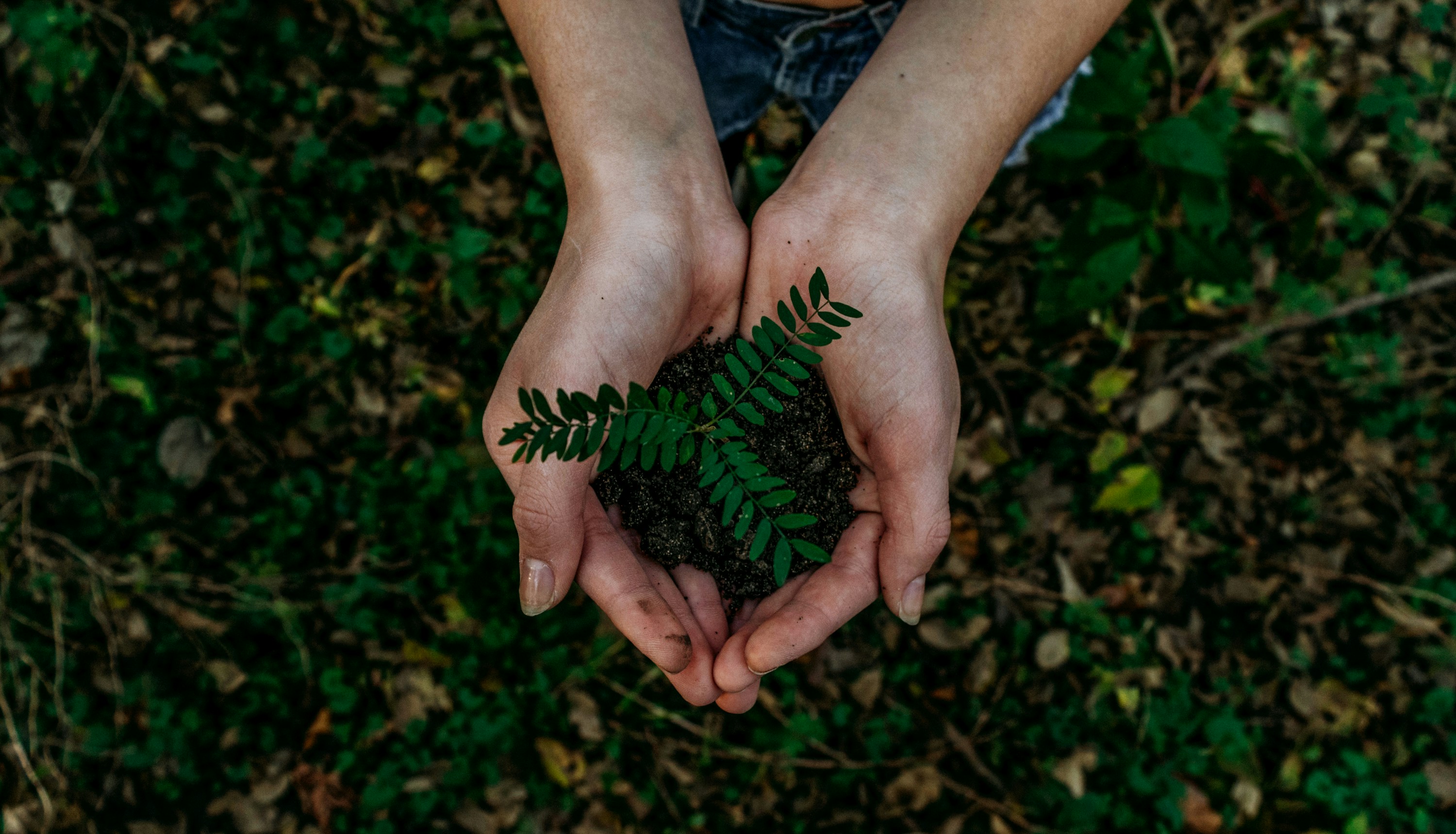 green planet